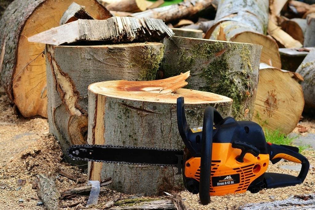 Guide essentiel de l'élagage à Tarbes pour un jardin épanoui